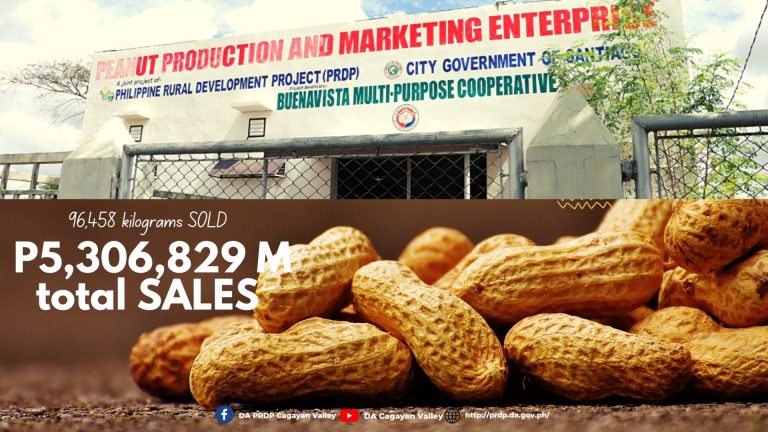 DA PRDP-assisted proponent group raises P5.3 M in peanut sales