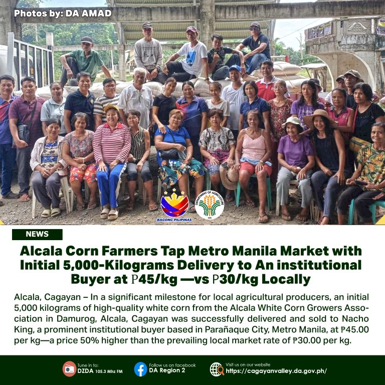Alcala Corn Farmers Tap Metro Manila Market with Initial 5, 000-Kilograms Delivery to An Institutional Buyer at ₱45/kg-vs ₱30/kg Locally