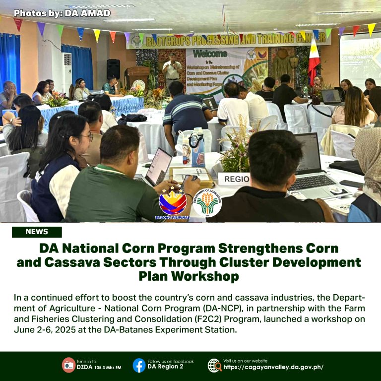 DA National Corn Program Strengthens Corn and Cassava Sectors Through Cluster Development Plan Workshop