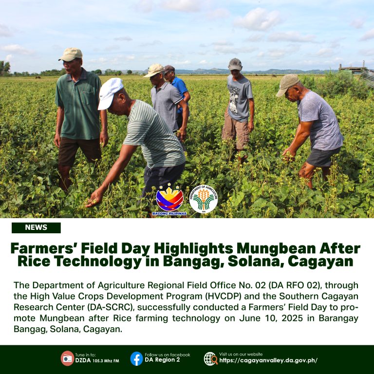 Farmers’ Field Day Highlights Mungbean After Rice Technology in Bangag, Solana, Cagayan