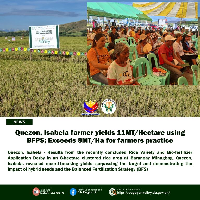 𝗤𝘂𝗲𝘇𝗼𝗻, 𝗜𝘀𝗮𝗯𝗲𝗹𝗮 𝗳𝗮𝗿𝗺𝗲𝗿 𝘆𝗶𝗲𝗹𝗱𝘀 𝟭𝟭𝗠𝗧/𝗛𝗲𝗰𝘁𝗮𝗿𝗲 𝘂𝘀𝗶𝗻𝗴 𝗕𝗙𝗣𝗦; 𝗘𝘅𝗰𝗲𝗲𝗱𝘀 𝟴𝗠𝗧/𝗛𝗮 𝗳𝗼𝗿 𝗳𝗮𝗿𝗺𝗲𝗿𝘀 𝗽𝗿𝗮𝗰𝘁𝗶𝗰𝗲